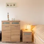 Apartman Theodor *