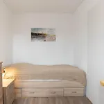 Apartman Theodor *